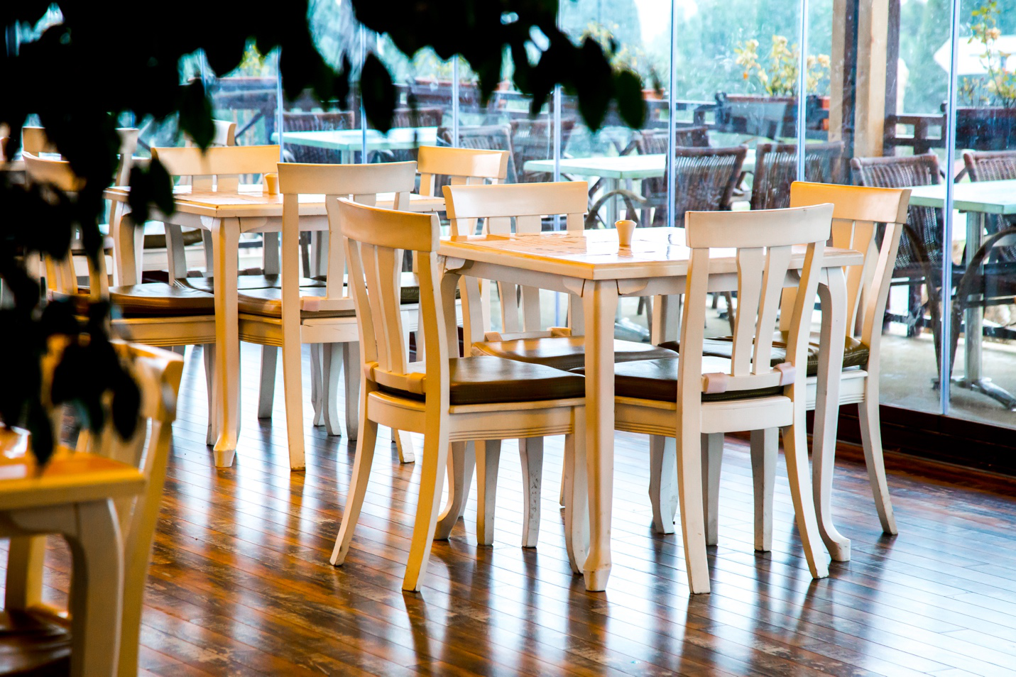 Tampa Flooring | Choosing the Right Flooring for Commercial Spaces: What Tampa Business Owners Need to Know A large space with hardwood floors